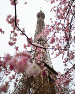 Fotografía urbana creativa de la Torre Eiffel enmarcada por flores en primer plano