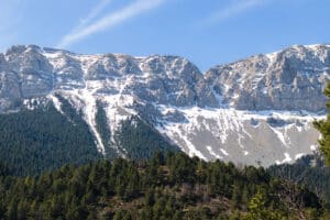 Fotografía de paisaje natural con montañas nevadas y árboles en primer plano