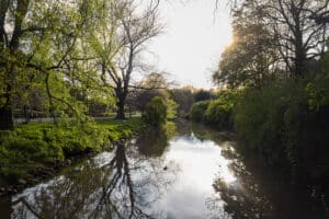 Fotografía de naturaleza en entorno urbano, río rodeado de árboles con reflejos del sol en el agua.
