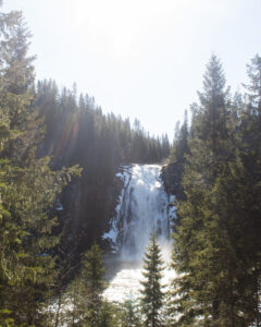Fotografía de cascada rodeada de bosque, capturando movimiento y fuerza natural